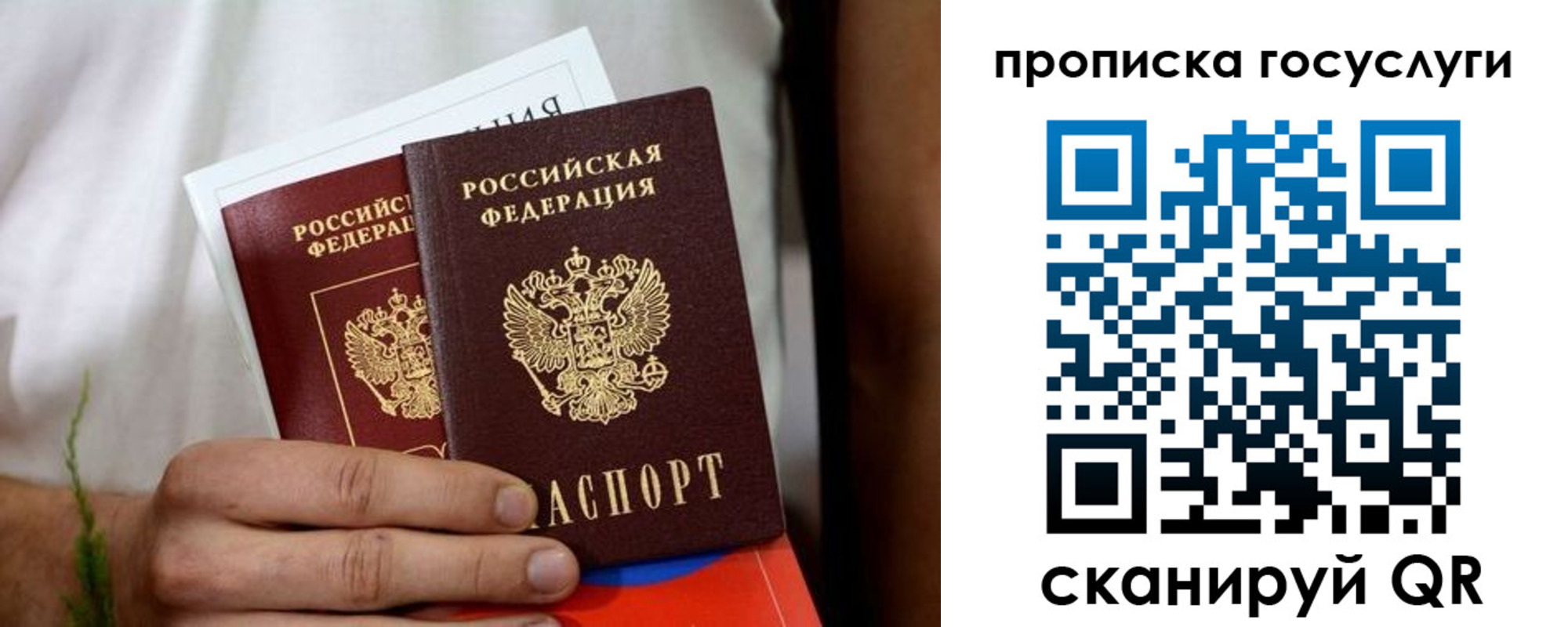 прописка регистрация в Димитровграде